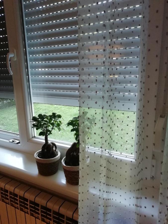 Sarmantni Apartman Malecka Zágráb Kültér fotó