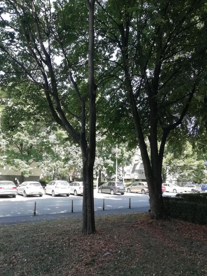 Sarmantni Apartman Malecka Zágráb Kültér fotó